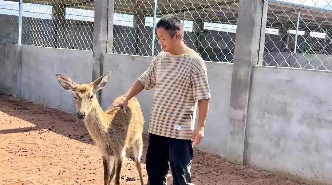 免费注册送59元体验金